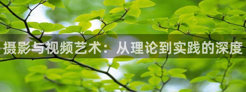 八戒影片：摄影与视频艺术：从理论到实践的深度