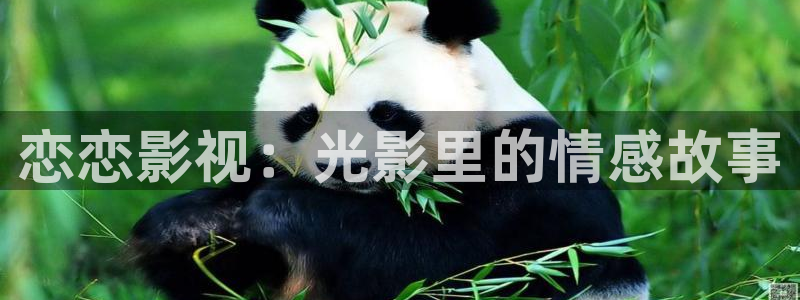 八戒成人影院在线观看：恋恋影视：光影里的情感故事